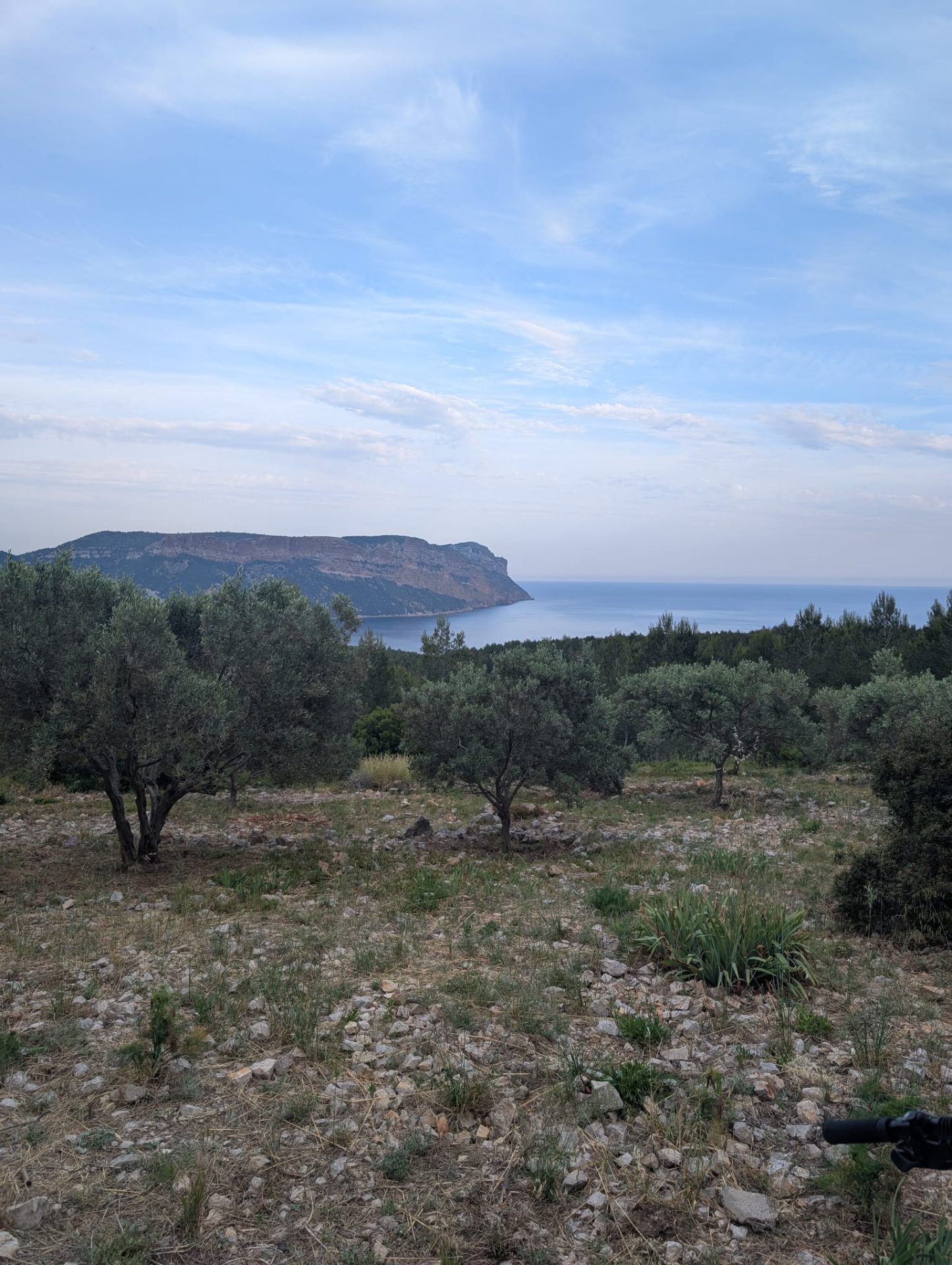 Calanque En-Vau eaux cristallines